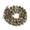 Natural Labradorite Beads Strands G-P508-A20-01-3