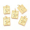 Brass Micro Pave Clear Cubic Zirconia Charms ZIRC-O036-20G-1
