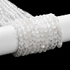 Natural Rainbow Moonstone Beads Strands G-J400-E12-01-3