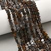 Natural Bronzite Beads Strands G-G085-B60-02-1