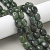 Dyed Natural Malaysia Jade Beads Strands G-P528-I16-01-5