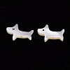 Natural Trochid Shell/Trochus Shell Beads SSHEL-T014-30-2
