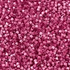 MIYUKI Delica Beads X-SEED-J020-DB1807-3