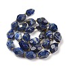 Natural Lapis Lazuli Beads Strands G-P541-A01-05-2