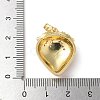 Brass Micro Pave Cubic Zirconia Pendants X-KK-P290-62G-3