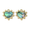 304 Stainless Steel Natural Paua Shell/White Shell Pendants Ion Plating(IP) STAS-U037-06G-01-1
