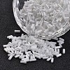 Transparent Colours Pearl Luster Plated Round Hole Glass Bugle Beads SEED-I001-121-1