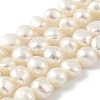 Natural Cultured Freshwater Pearl Beads Strands PEAR-A006-08D-2