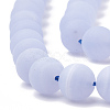 Natural Blue Lace Agate Beads Strands X-G-T106-032-2