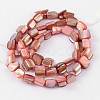 Natural Shell Beads Strands PBB049Y-2