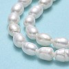 Natural Cultured Freshwater Pearl Beads Strands PEAR-J006-10E-01-4