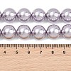 Electroplated Shell Pearl Graduated Beads Strands BSHE-C011-04-03-3