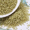 MIYUKI Delica Beads SEED-MY11-DB0687-1