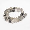 Natural Cloudy Quartz Beads Strands X-G-E376-8mm-01-3