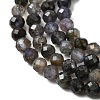 Natural Iolite Beads Strands G-G343-B01-3mm-4