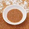 MIYUKI Delica Beads SEED-J020-DB1702-2
