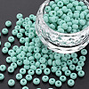 6/0 Glass Seed Beads SEED-T005-14-B25-4