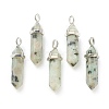 Natural Sesame Jasper Pointed Pendants G-M378-01P-A11-1
