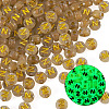 50G Luminous Transparent Acrylic Beads OACR-TAD0001-01N-3