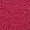 MIYUKI Round Rocailles Beads X-SEED-G007-RR0476-2