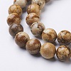 Natural Gemstone Beads Strands X-GSR10mmC016-2