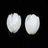 Natural Trochid Shell/Trochus Shell Beads SSHEL-T014-33-2