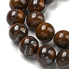 Natural Yellow Tiger Iron Beads Strands G-C079-A03-03-4
