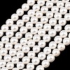 Electroplated Shell Pearl Beads Strands BSHE-C011-02-1