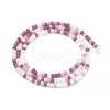 Faceted Glass Beads Strands GLAA-F106-B-F09-2