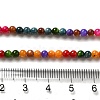 Natural Freshwater Shell Beads Strands SHEL-H003-03H-4
