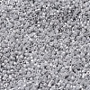 MIYUKI Delica Beads Small X-SEED-J020-DBS0252-3
