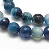 Dyed Natural Agate Faceted Round Beads Strands G-E267-21-2