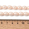 Electroplated Shell Pearl Beads Strands BSHE-B008-07B-4
