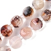 Natural Cherry Blossom Agate Beads Strands G-G182-B40-03-2