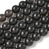 Natural Ice Obsidian Beads Strands G-P590-A03-10mm-03-2