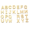 304 Stainless Steel Charms X-STAS-P141-2