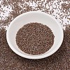 MIYUKI Delica Beads SEED-X0054-DB1732-2