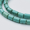 Natural Magnesite Beads Strands TURQ-K003-21D-2