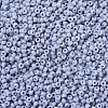 MIYUKI Round Rocailles Beads SEED-G007-RR0498-3
