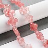 Cherry Quartz Glass Beads Strands G-P520-A05-01-2