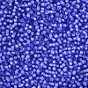 12/0 Grade A Round Glass Seed Beads SEED-N001-D-13/212-2