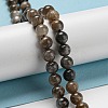Natural Black Moonstone Beads Strands G-A219-A01-02-6