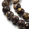 Natural Cherry Blossom Jasper Beads Strands G-C079-A02-02-4