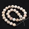Natural Magnesite Beads Strands TURQ-P027-23-8mm-2