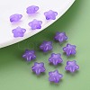 Transparent Acrylic Beads MACR-S373-26E-01-6
