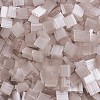 MIYUKI TILA Beads SEED-JP0008-TL2553-3
