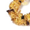 Natural Amber Beads Strands G-L095-D01-04-4