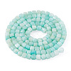 1 Strand Natural Freshwater Shell Dyed Beads Strands SHEL-TA0001-44A-1