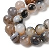 Natural Dendritic Agate Beads Strands G-A248-A07-06-4