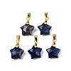 Natural Lapis Lazuli Charms G-N326-142-02-2